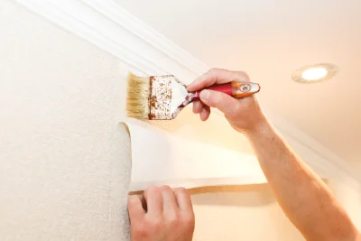 Pose de papier peint à la Balme-de-Thuy — revêtements muraux et toiles de verre